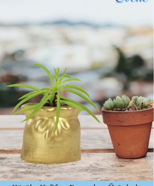 Mini Çiçek Saksı Küçük Sukulent Altın Kaktüs Saksısı Kese Model